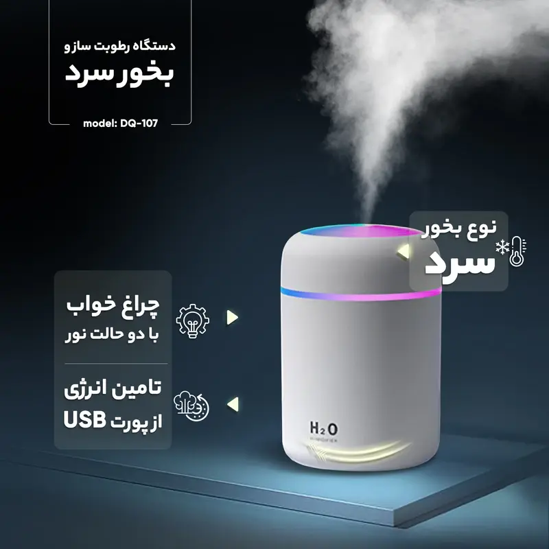 LKS2030 (DQ-107) Humidifier